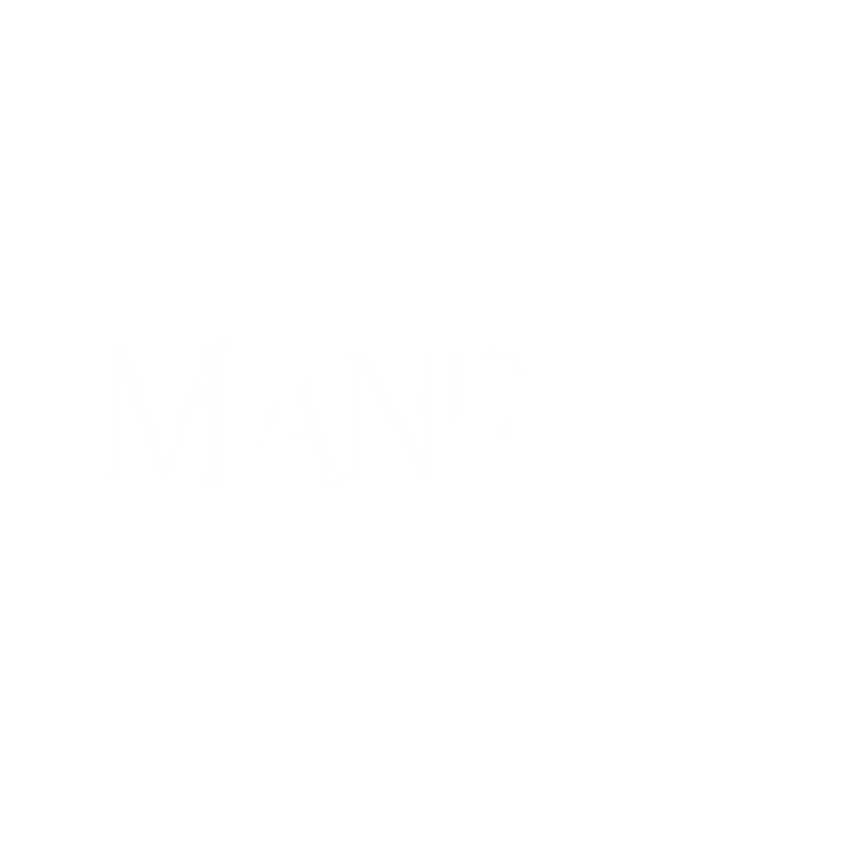 MANE DETAILZ 